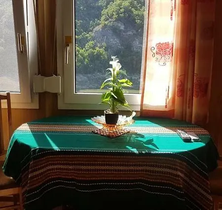 Campsite Didi Eco Villas
